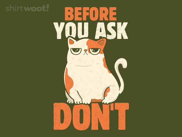 Before You Ask Don't Remix