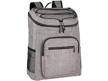 $22.99, Was $32.99, 30% Off! Amazon Basics Insulated Cooler Backpack, 30 Can dealfomo