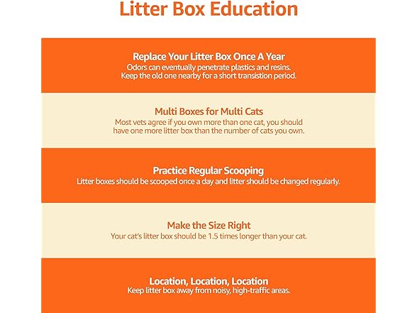 Amazon Basics Large Cat Litter Box