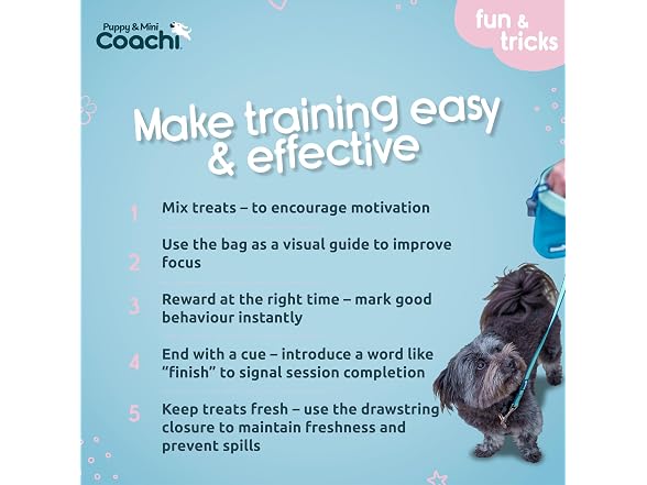 Company of Animals Coachi Puppy & Mini Treat Pouch