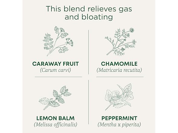 16CT Traditional Medicinals Tea, Organic Gas Relief