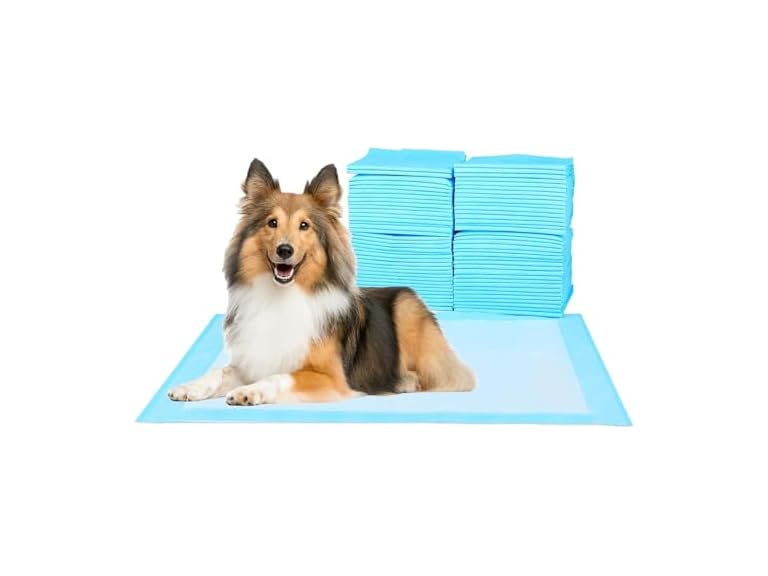 Super Absorbent Waterproof Dog and Puppy Pet Training Pad, Housebreaking Pet Pad, 40-Count Extra Middle-Size, 30’’X36’’, Blue