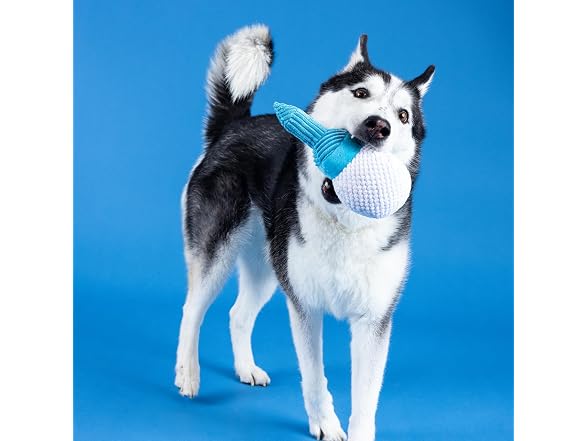 Fringe Studio Plush Dog Toy, Today is TEE-RIFFIC
