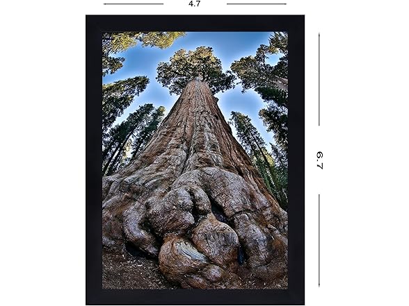 YYTRABAJO 5x7 Picture Frame Black Photo