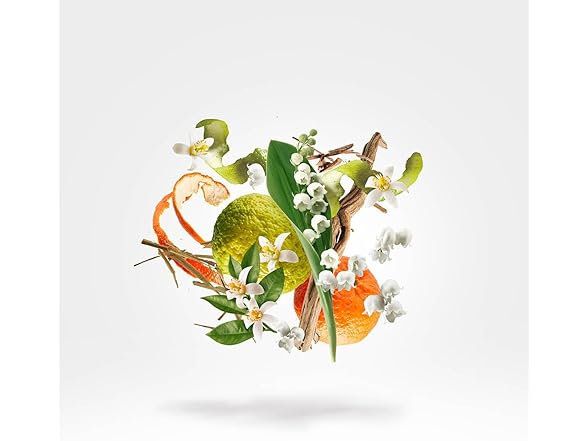 Xerjoff 3.4 Xerjoff 1861 Renaissance 3.4