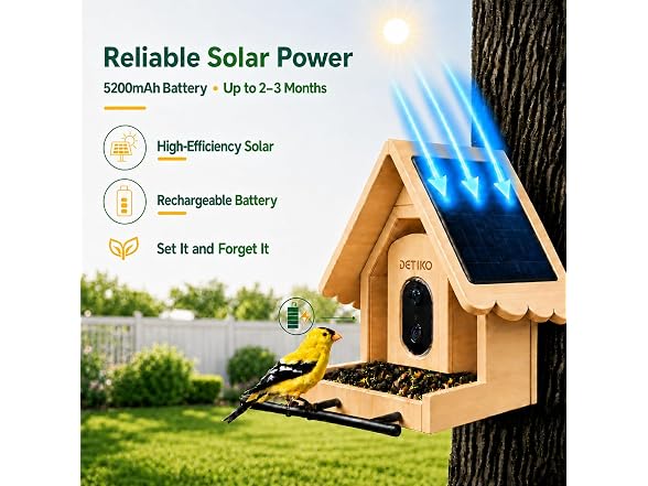 Bamboo Smart Bird Feeder W/ Camera