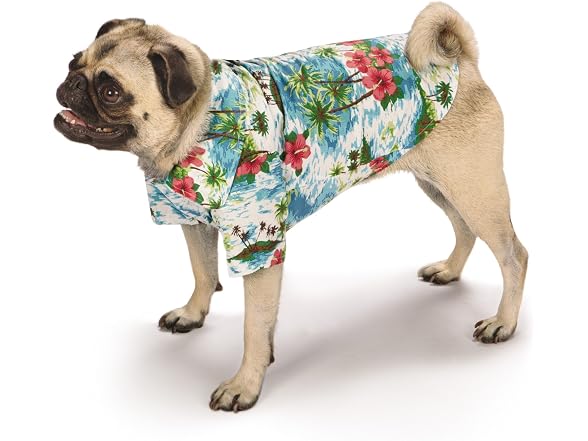 Casual Canine Hawaiian Breeze Camp Shirt, Large, Blue