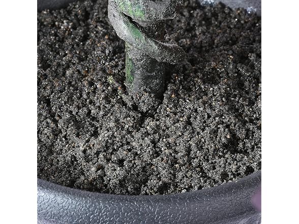 National Tree Company Black Oak Tree, 4 Feet