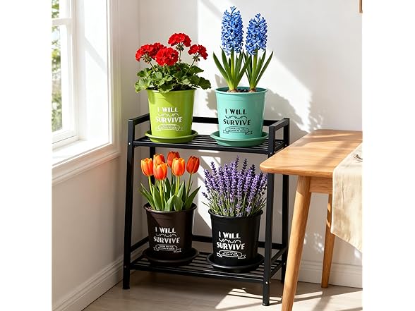 NIKONIKO 8 Pack 6.5 Inch Plant pots