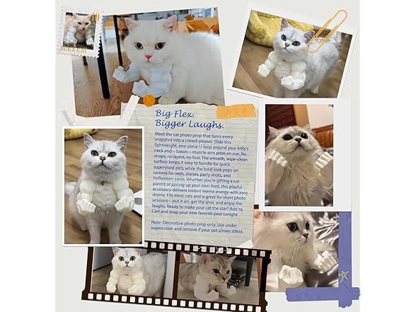 HEYPOMAX Cat Boxing Arms