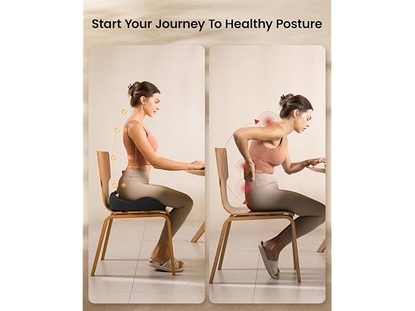 ProtoArc Seat Cushion