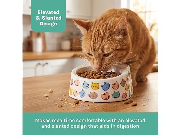 Kitty City Elevated Melamine Cat Bowl- Colorful Cats