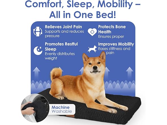 AKC Orthopedic Memory Foam Dog Crate Mat, 23" x 36", Black