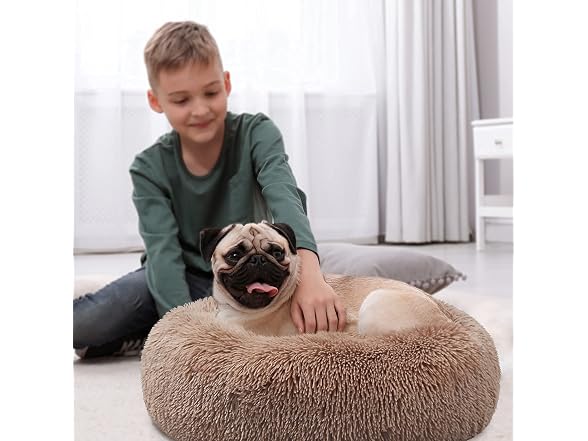Small Deep Sleep Calming Bed for Dogs with An
