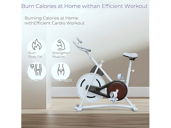 NAYSAYE Stationary Bike