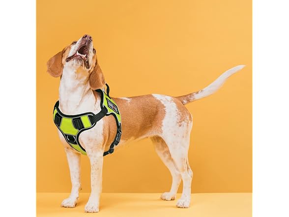 Dogline Quest No-Pull Dog Harness with 3 Rub