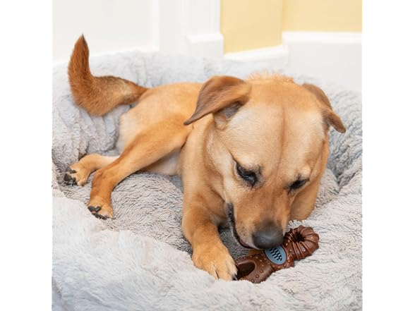 SPOT Bam-Bones Dental Pacifier Dog Chew Toy, Bison