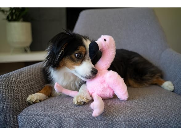 Flourish Pets 3 in 1 Multi-Layer Chew Toy Flamingo