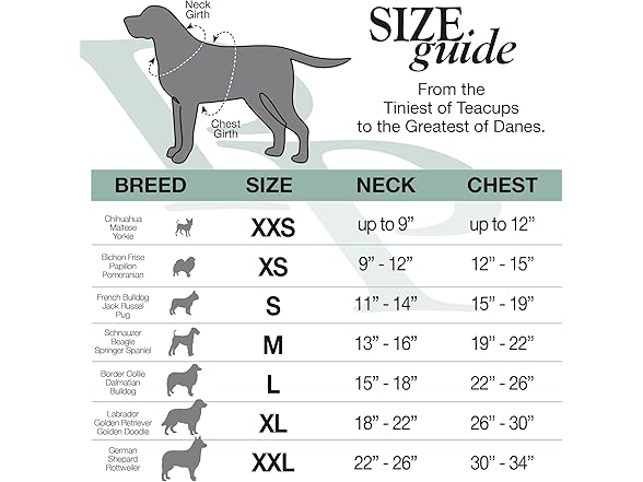 Pet Passion Multipack 100% Organic Cotton SS T-Shirt