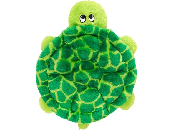 Crawler Turtle 10in - Gallery 2