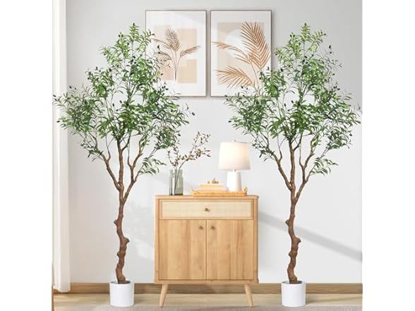 Kmise Olive Tree 7ft 2pk