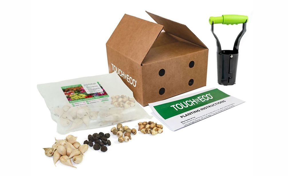 English Garden Collection (200 Bulbs with Tool) - Gallery 14