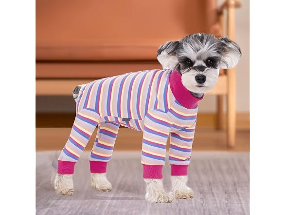 Dog Surgery Recovery Suit for Small Dogs, 4-
