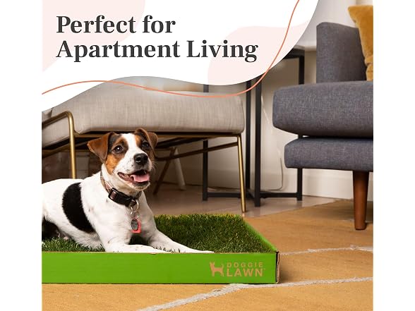 DoggieLawn Real Grass Puppy Pee Pads- 24 x 16