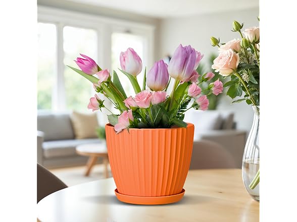 Lifemaster 6" Plant Pots with Drainage, 24 Pack