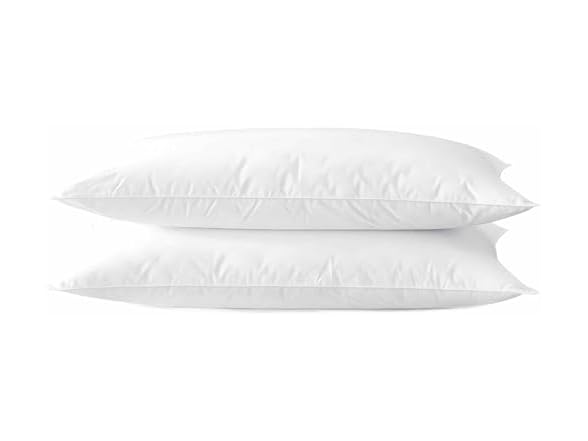 Acteb Ultra Thin Bed Pillows, 2-Pack