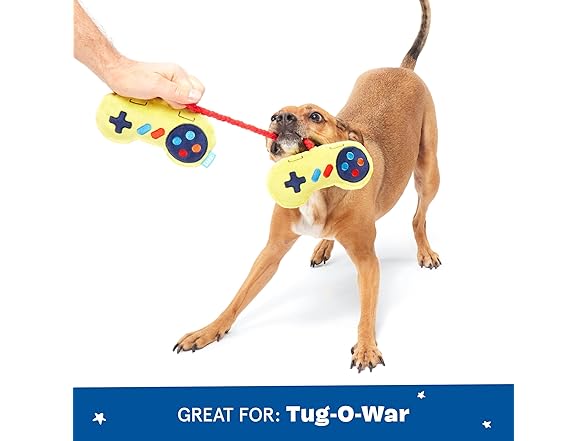 Barkbox Ate-Bit Tug Dog Toy