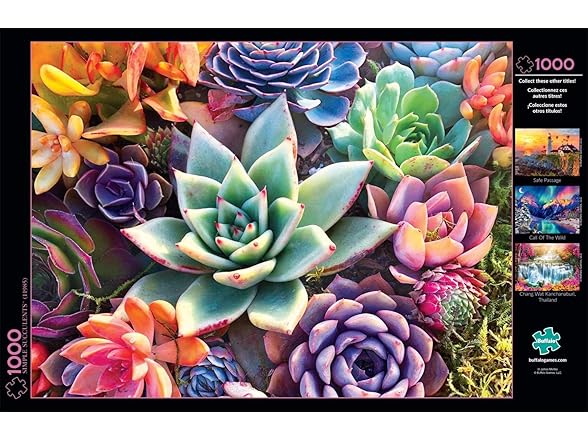 James Mertke - Simple Succulent - 1000 Piece Jigsaw Puzzle