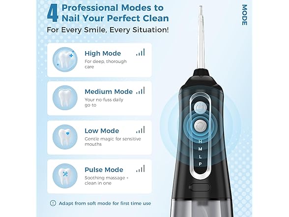 Alplead Water Dental Flosser Pick