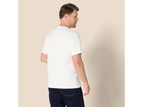 AE Mens RelaxedFit Heavyweight Cotton Crewneck