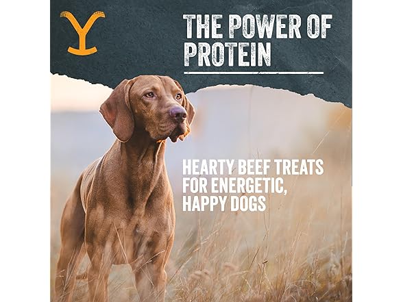 Limited Ingredient Dog Treats