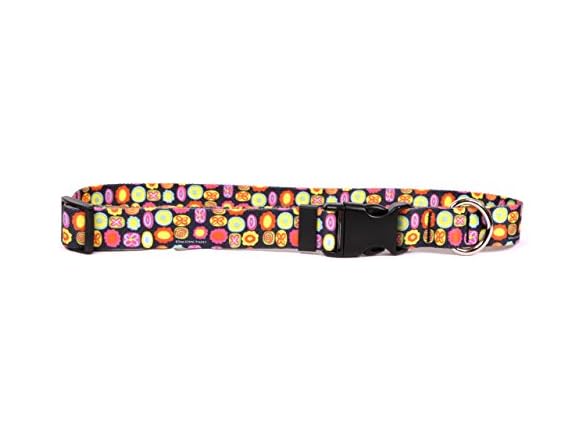 Yellow Dog Design Bright Fun Dog Collar 3/4"