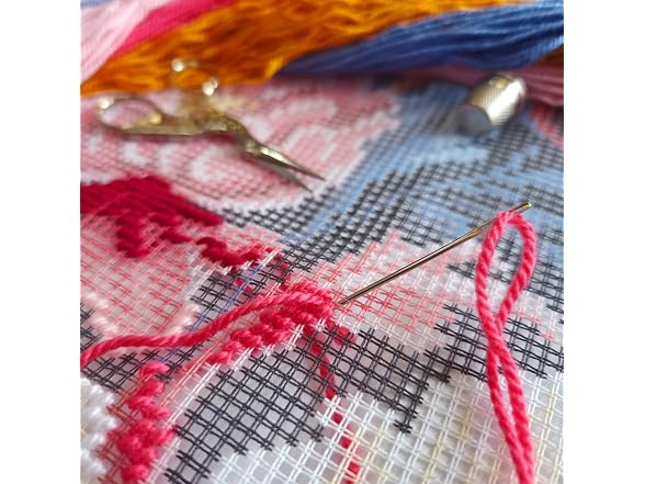 Brvsk Tapestry Embroidery Kit for Adults and Beginners