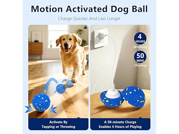Zuykjeagle Interactive Dog Toy Ball