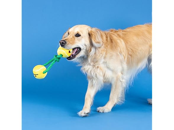 Fringe Studio Plush Dog Toy with Rope