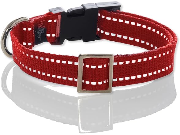 Pet Passion Max II - 2-Pack Reflective Leash & Collar