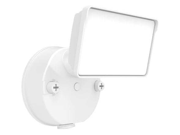 LED Security Floodlight 120V White