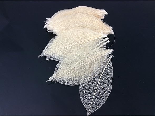 Natural Rubber Skeleton Leaves