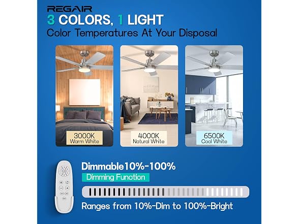 Regair Ceiling Fan
