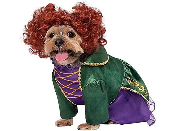 Rubies Rubies Disney Hocus Pocus: Winifred