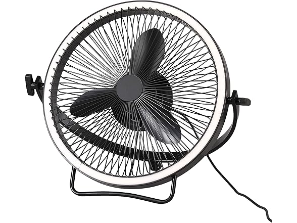 Ceiling Fans with Lights and Remote, 20 Inch Black