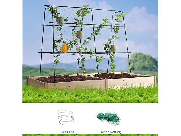 Lalahoni Cucumber Trellis | 5.3x5.3 Feet