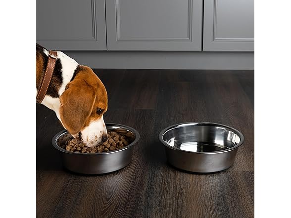 Set of 2 Stainless Steel Dog Bowls - 64oz