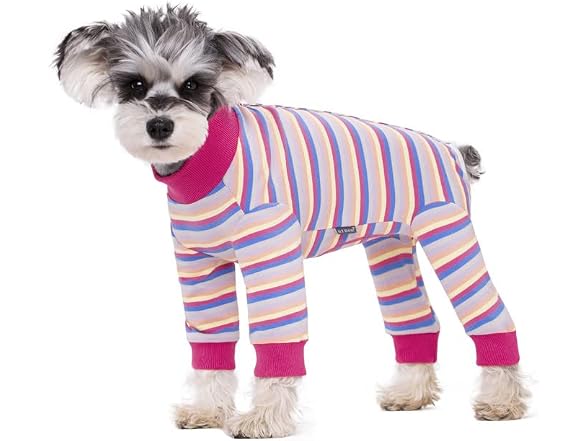 Dog Surgery Recovery Suit for Small Dogs, 4-