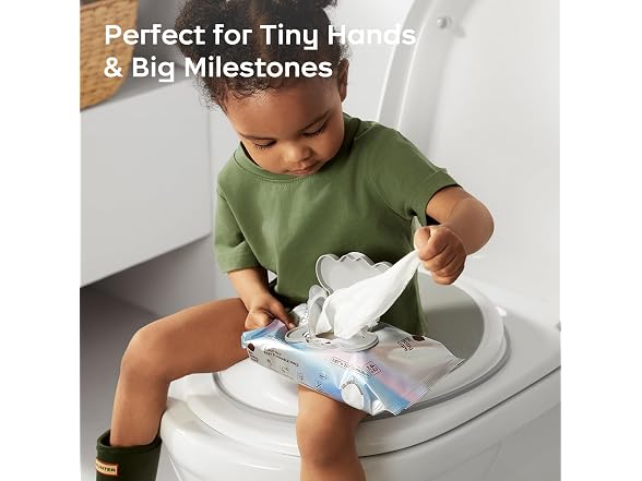 Cloud Max Flushable Wipes