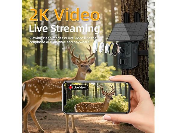 AXB Trail Camera with Night Vision